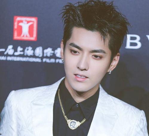 爆料娱乐圈吴亦凡,真相与争议交织的明星之路 第3张 爆料娱乐圈吴亦凡,真相与争议交织的明星之路 第3张